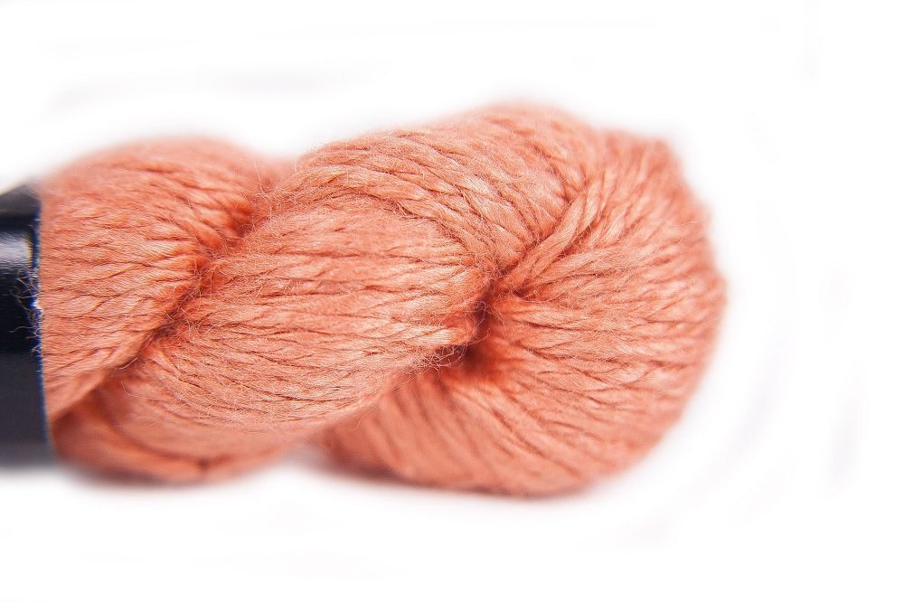 PP-133: Salmon