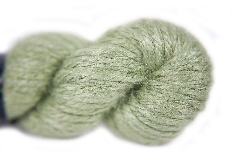 PP-146: Celery Seed