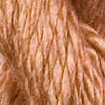 T-3016: English Rose