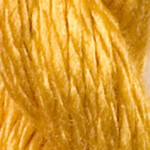 G-2024: Dandelion