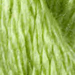 T-3061: Shamrock