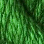 T-3062: Fern
