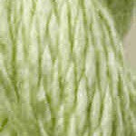 T-3064: Daiquiri