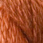 G-2124: Persimmon