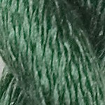 G-2146: Cactus