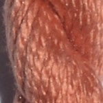 T-3219: Calypso Orange