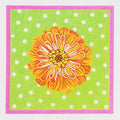Zinnias on Orange