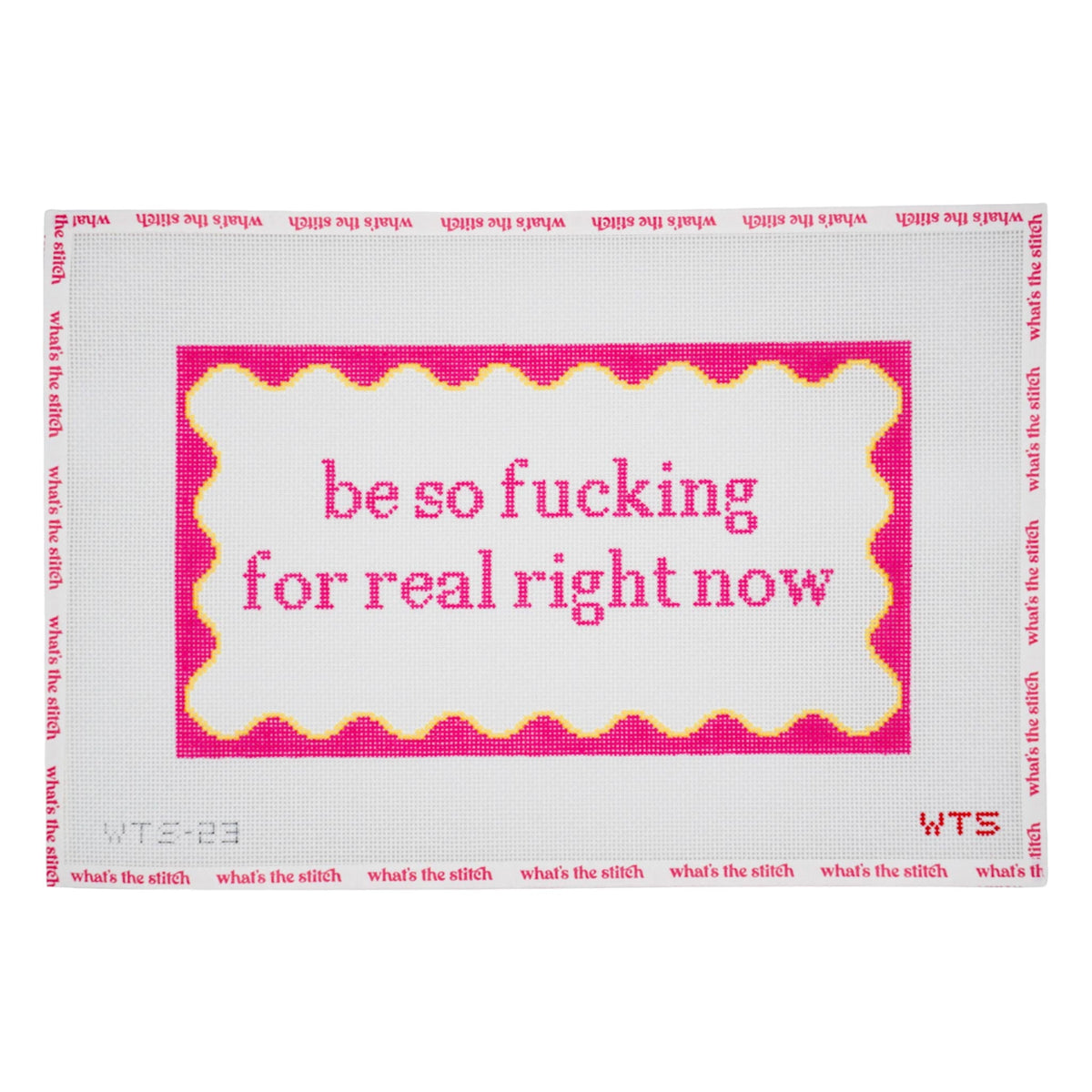 Be So Fucking For Real needlepoint canvas