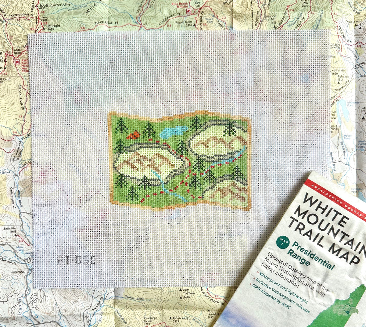 Hiking Map Needlepoint Canvas